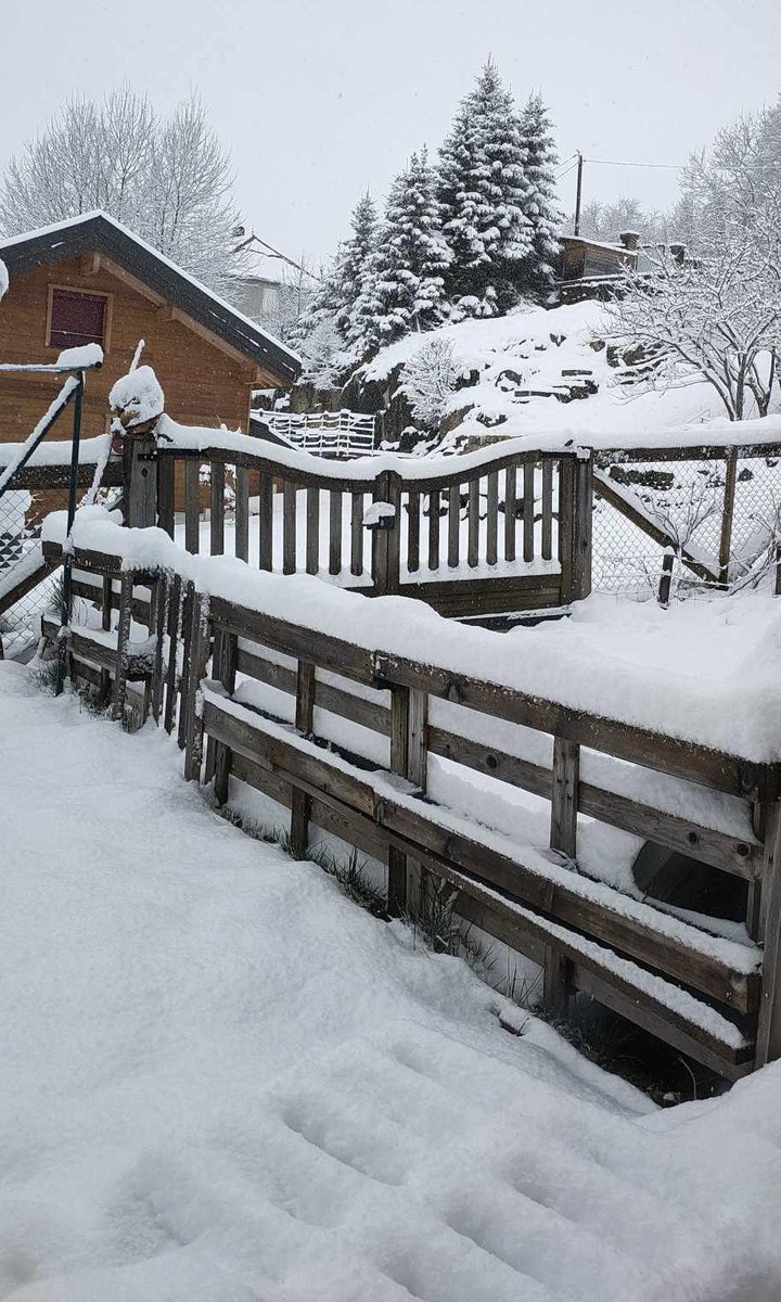 MeteoFrComtoise's tweet image. ❄️🧣 [#EnDirect] 🔹 La #neige tombe à gros flocons depuis l’aube ce mercredi 27 mars dans le Haut-Jura ! À La #Pesse (39), l’épaisseur à 1130m atteint 12cm à 10h00 comme prévu 🌨️ La limite pluie-neige se trouve à 350/400m et le sol blanchit à 450 ou 600m selon l’isothermie. #Jura