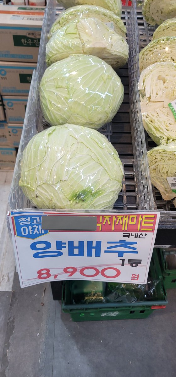 어제 양배추 7천원 싼거였네 ㅋㅋㅋ