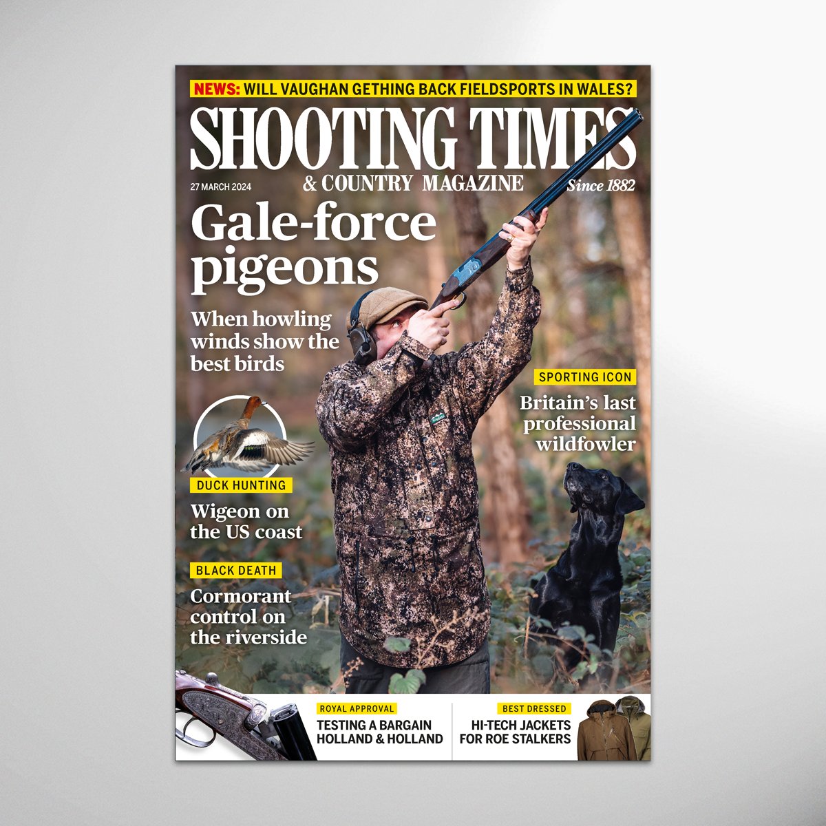 The latest issue of Shooting Times is out now! This week, Gareth Dockerty explains why BASC’s insurance is a market leader, and explores what it means for the associations members as a result. Ferreting is still an art form and you must have the right equipment, says John