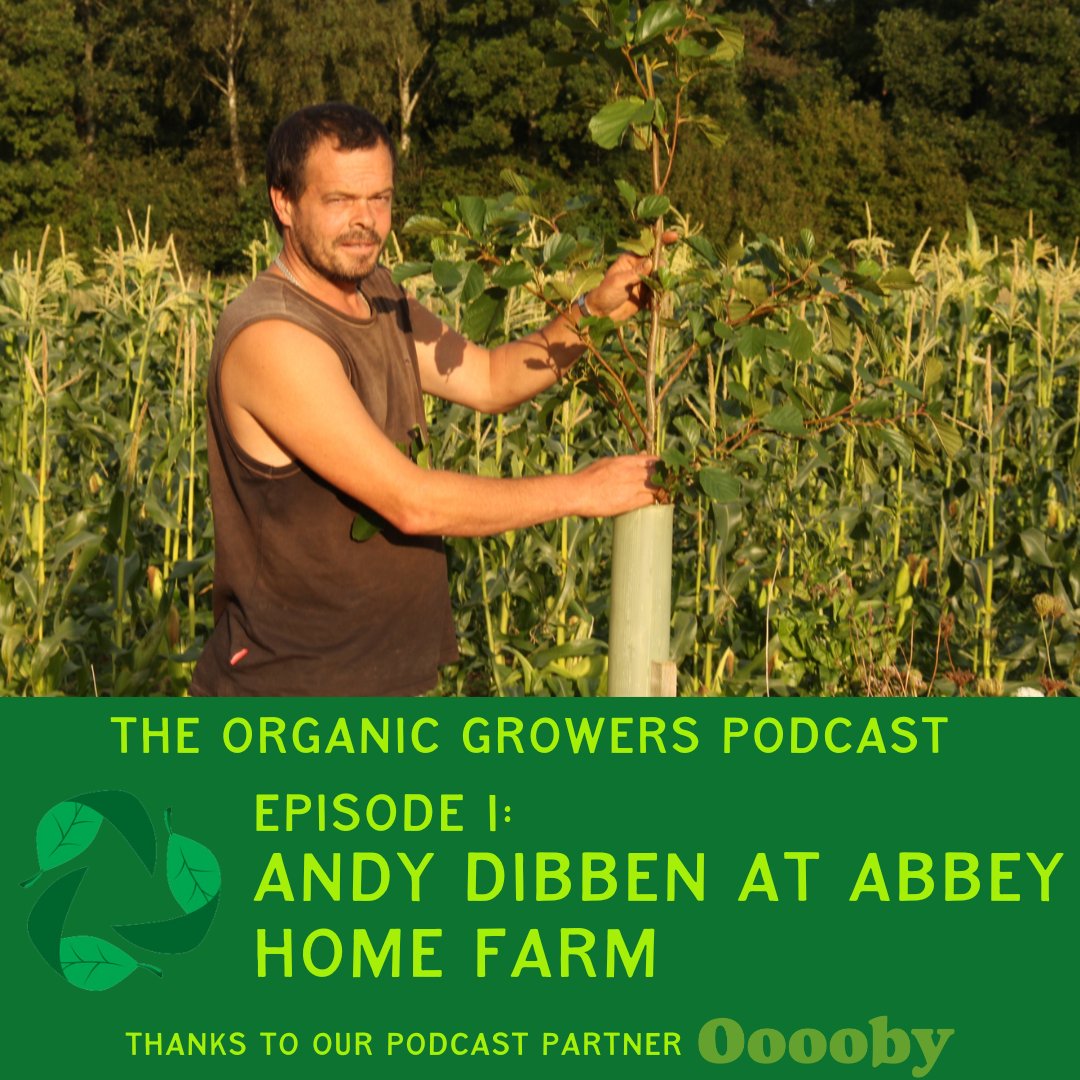 The first ep of the new #OrganicGrowerPodcast is out! We hear from Andy Dibben, head grower at Abbey Home Farm. Listen on Spotify, Apple Music, and Buzzsprout. Thanks to @Ooooby ReAgTools, Vital Seeds and @BDACollege for sponsoring us!