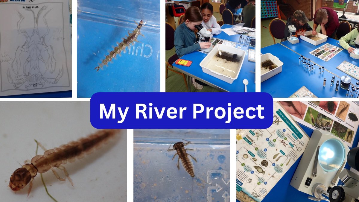 Yesterday we ran a freshwater workshop for young people at The Edge Youth Centre in Haverfordwest. The group are taking part in a 2 day river project about the cleddau, the wildlife and conservation. #thecleddauproject #haverfordwest #afoncleddau #pembrokeshire #lifeinfreshwater