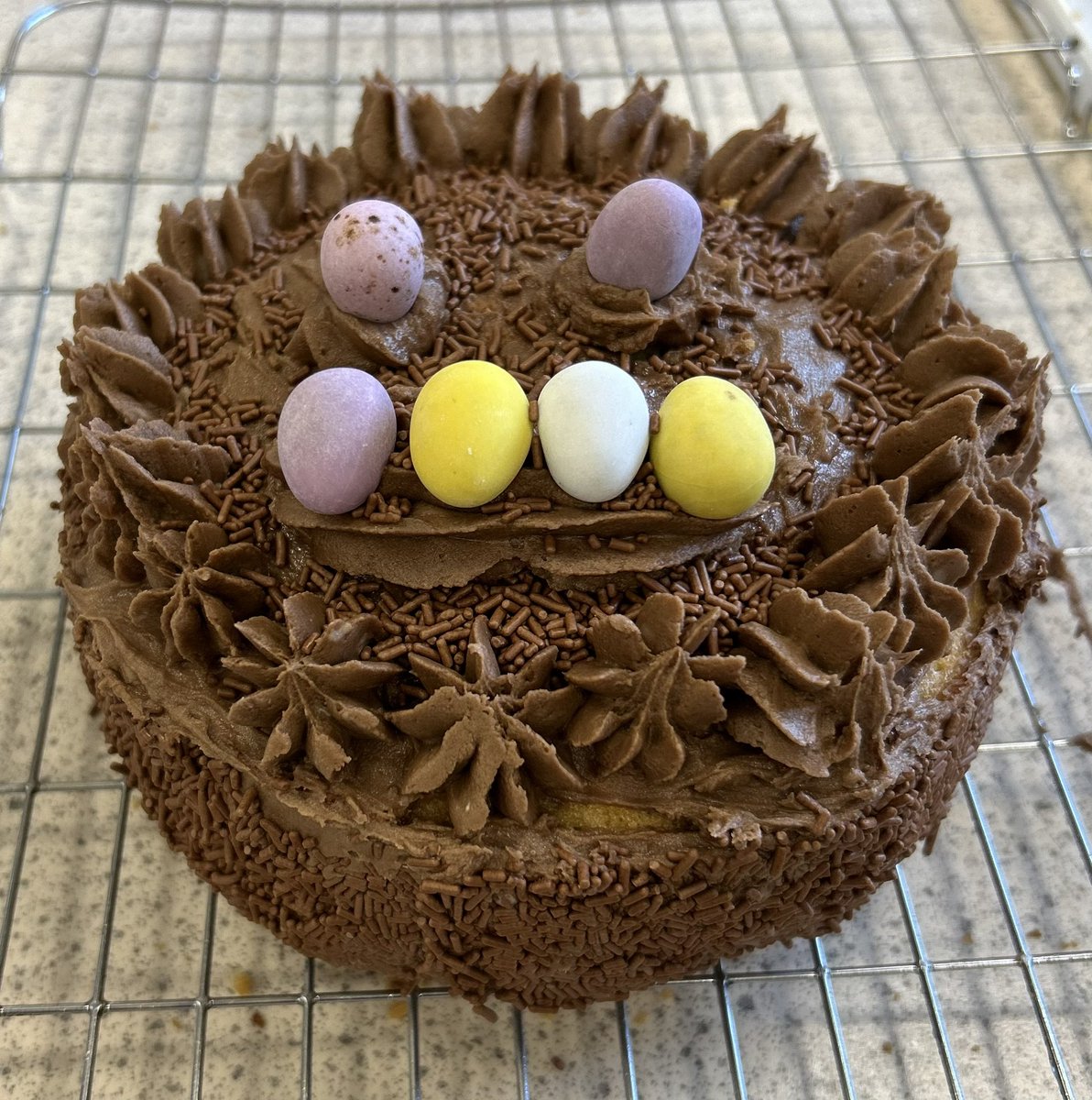 Miss MacFadyen_Food_Tech tweet media