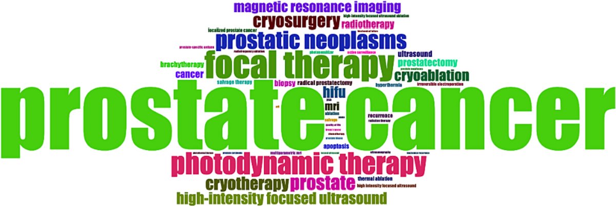 Online now: Bibliometric analysis of focal therapy in #ProstateCancer research @abdulsaterz @MShahait #OpenAccess doi.org/10.1002/bco2.3…