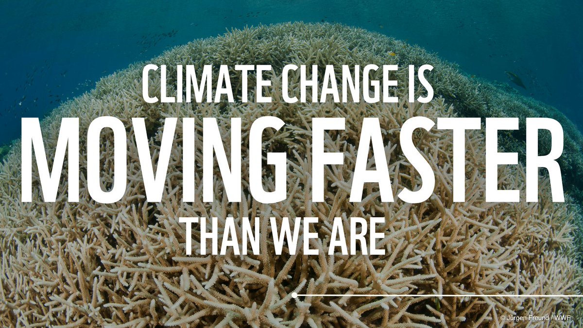 ⏰ World leaders must NOT ignore the alarm bells. Climate change is moving faster than we are. We must do more to cut emissions, adapt and build resilience!