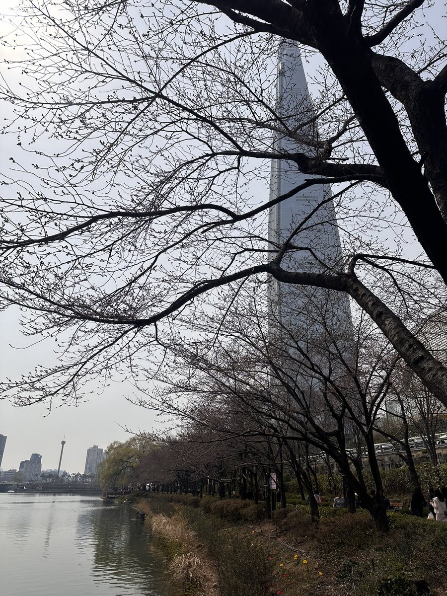 오늘 벚꽃축제가 시작된 송파구가 강릉시의 벚꽃축제를 응원합니다.. 🌸

아름다운 봄, 벚꽃이야기 호수벚꽃축제
 ✔기간: 3/27(수)~3/31(일)
✔장소: 석촌호수

🔗프로그램 보기 m.blog.naver.com/happysongpa/22…