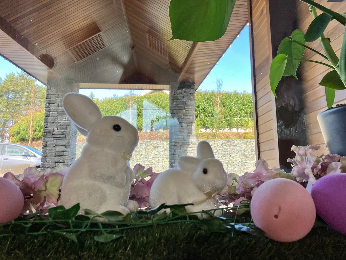 We're all set for Easter weekend at Daisy Lodge! 🐣💛 How many bunnies can you spot?🐰 #EasterWeekend #DaisyLodge #EasterBunny #TogetherThroughCancer