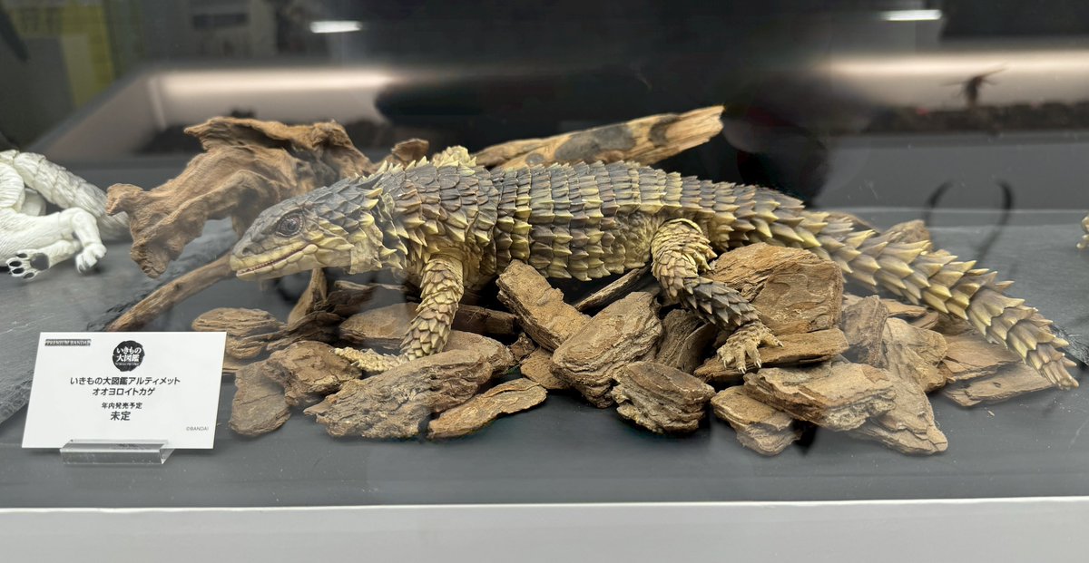 いきもの大図鑑アルティメットオオヨロイトカゲ いきもの大図鑑アルティメット オオヨロイトカゲ | ナムコパークス