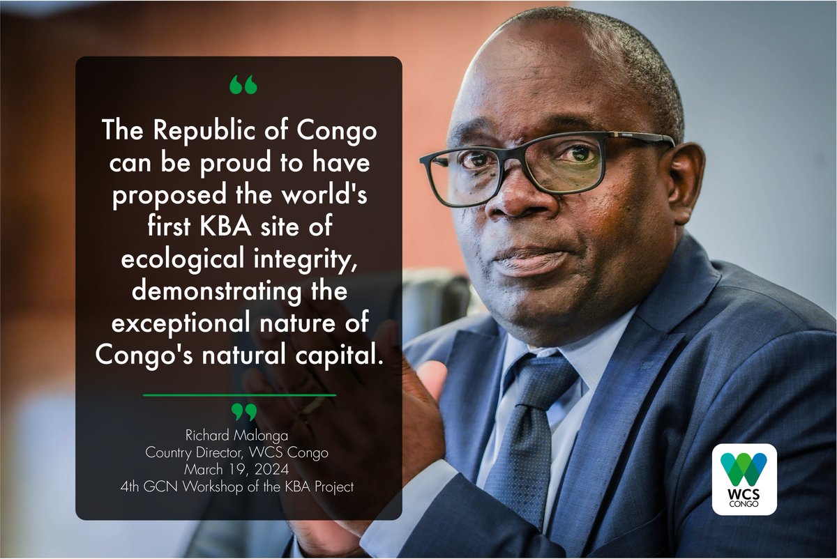 Quotable moment from the 4th National Coordination Group Meeting on KBA in Brazzaville. Mr. Malonga, Country Director, highlights Congo's commitment to conservation. Congo proposes the world's first KBA site of ecological integrity, strengthening its biodiversity leadership.