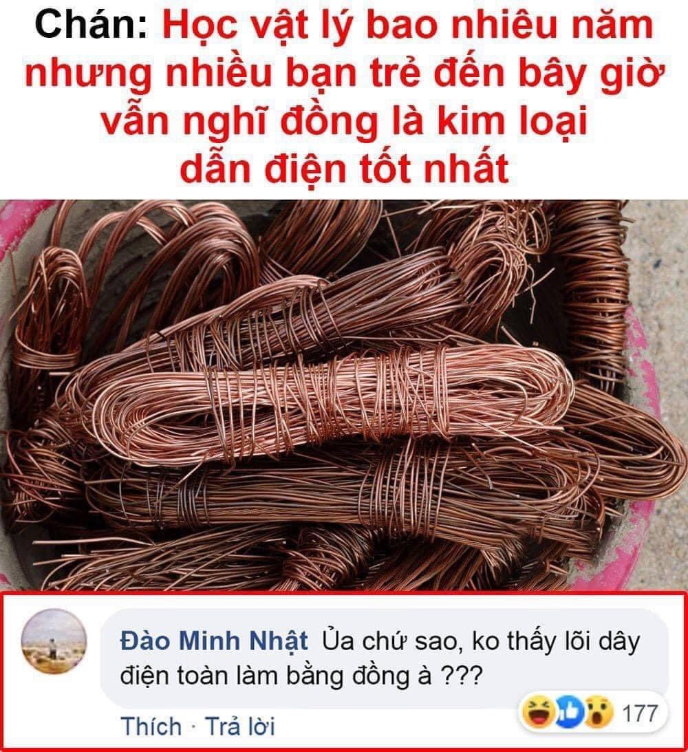 Phổ Đà Tiên Sinh 🌿🪸☘️ tweet media
