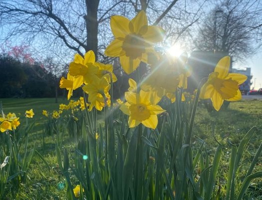 Happy spring holiday. 🌻 #WarsashMaritimeSchool and #SolentUni will remain open over the holiday period, except for Good Friday, 29 Mar and Easter Monday, 1 Apr (though a few courses run until Fri). Have a quick query? wms.shortcoursesales@solent.ac.uk or +44 (0) 23 8201 3074