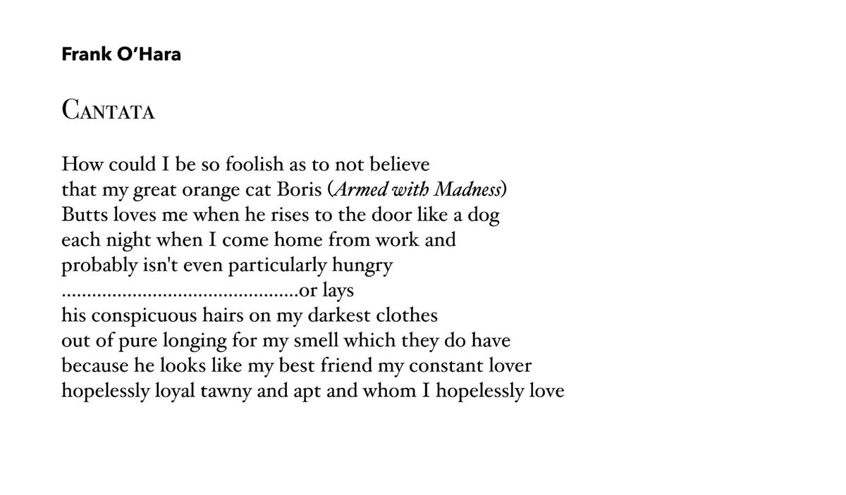 Happy birthday to Frank O'Hara and this cantata for his lovely orange cat.