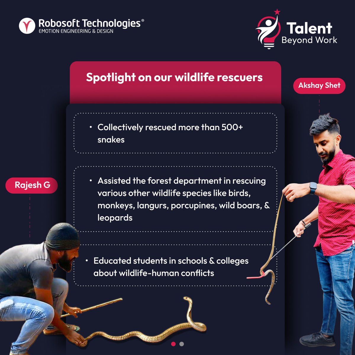 Robosoft's tweet photo. Meet Akshay Shet and Rajesh G, dedicated Robosoftians with a passion for wildlife conservation. Their commitment to being serpent saviors and rescuing wildlife is admirable. We are proud to have them as members of our team.

#TalentBeyondWork #LifeatRobosoft https://t.co/TjKiMzcBYw