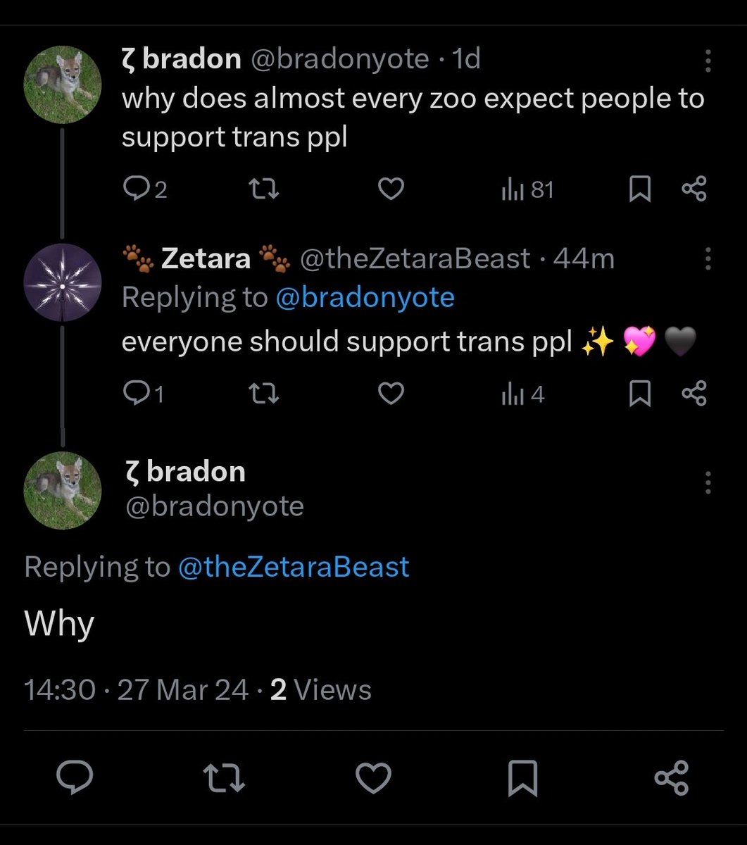 🐾 Zetara 🐾 tweet media