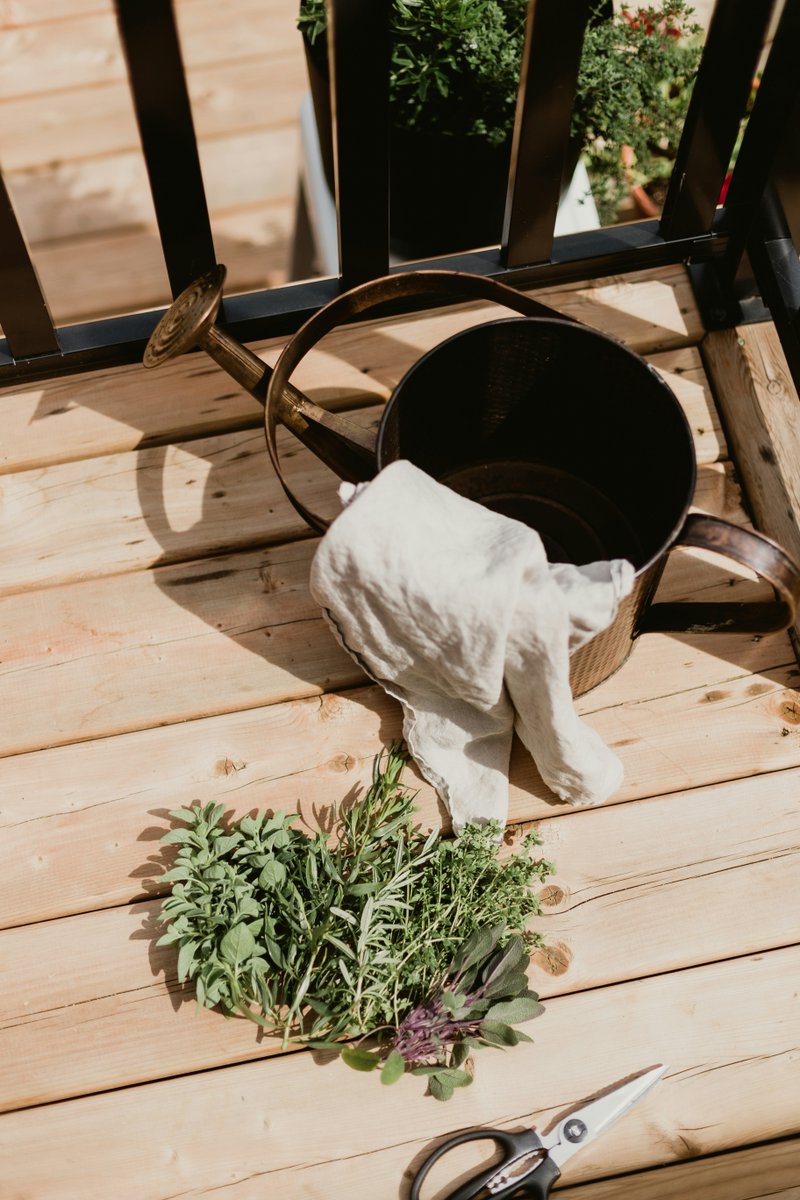 grangettos's tweet photo. What's your favorite herb for cooking, and how do you keep your garden thriving? Let's swap secrets and spice up our gardens together! 💚

Find herb gardening essentials at our 3 locations!

#grangettos #sandiego #escondido #encinitas #fallbrook #gardening #gardenlife https://t.co/Dhs2hYAb77