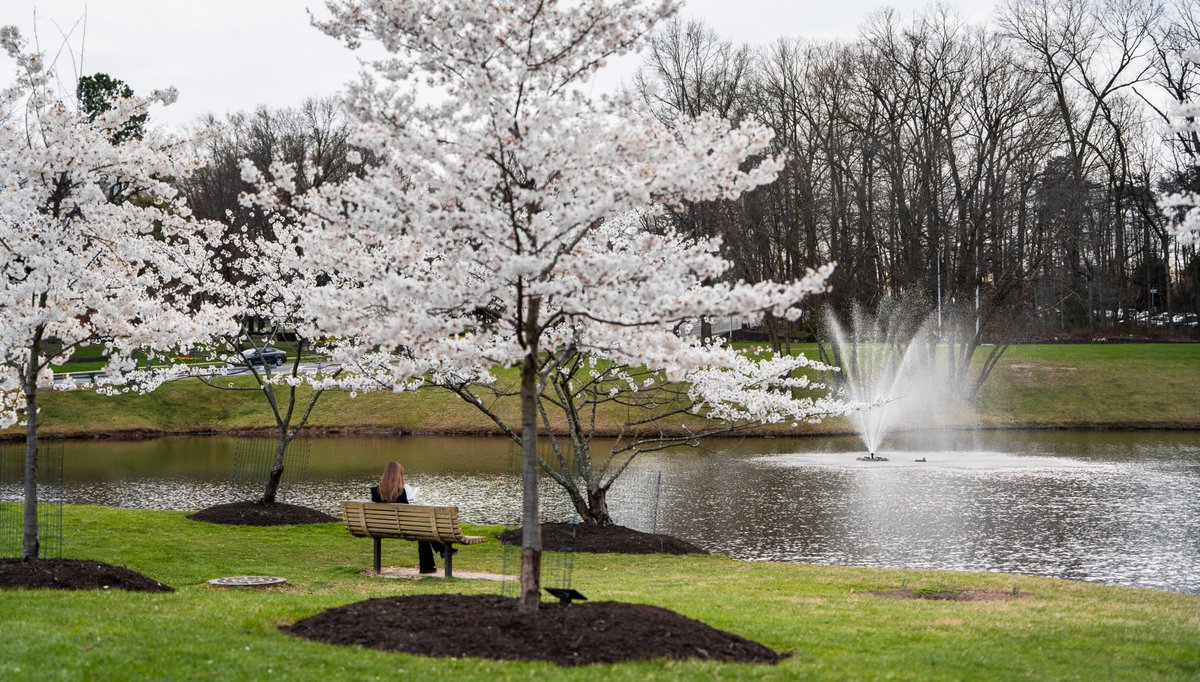GeorgeMasonU's tweet photo. Spring campus loading...
🟩🟨🟩🟨◻️◻️◻️

📷: OUB https://t.co/MjAdTaVcvW