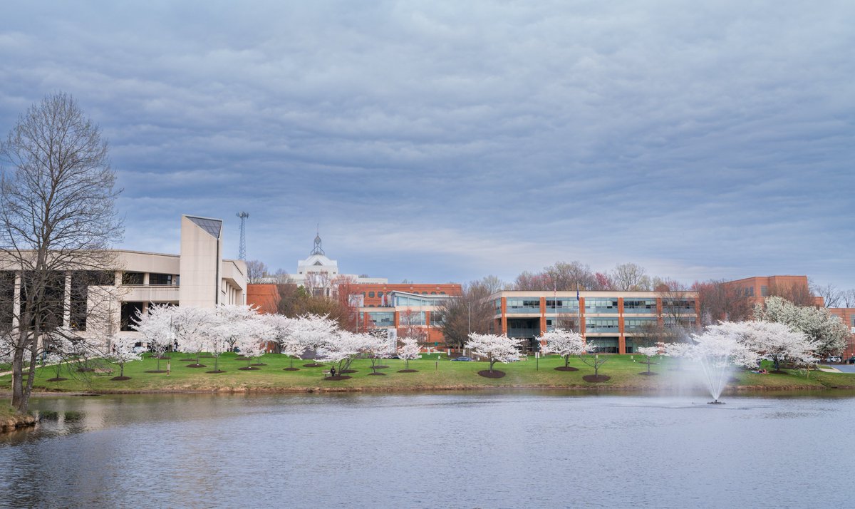 GeorgeMasonU's tweet photo. Spring campus loading...
🟩🟨🟩🟨◻️◻️◻️

📷: OUB https://t.co/MjAdTaVcvW