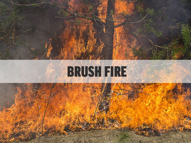 #BREAKING HCFR crews are currently battling a brush fire in the Weeki Wachee Preserve. Multiple units are on scene attempting to gain access. @FFS_Withlacooch is responding.