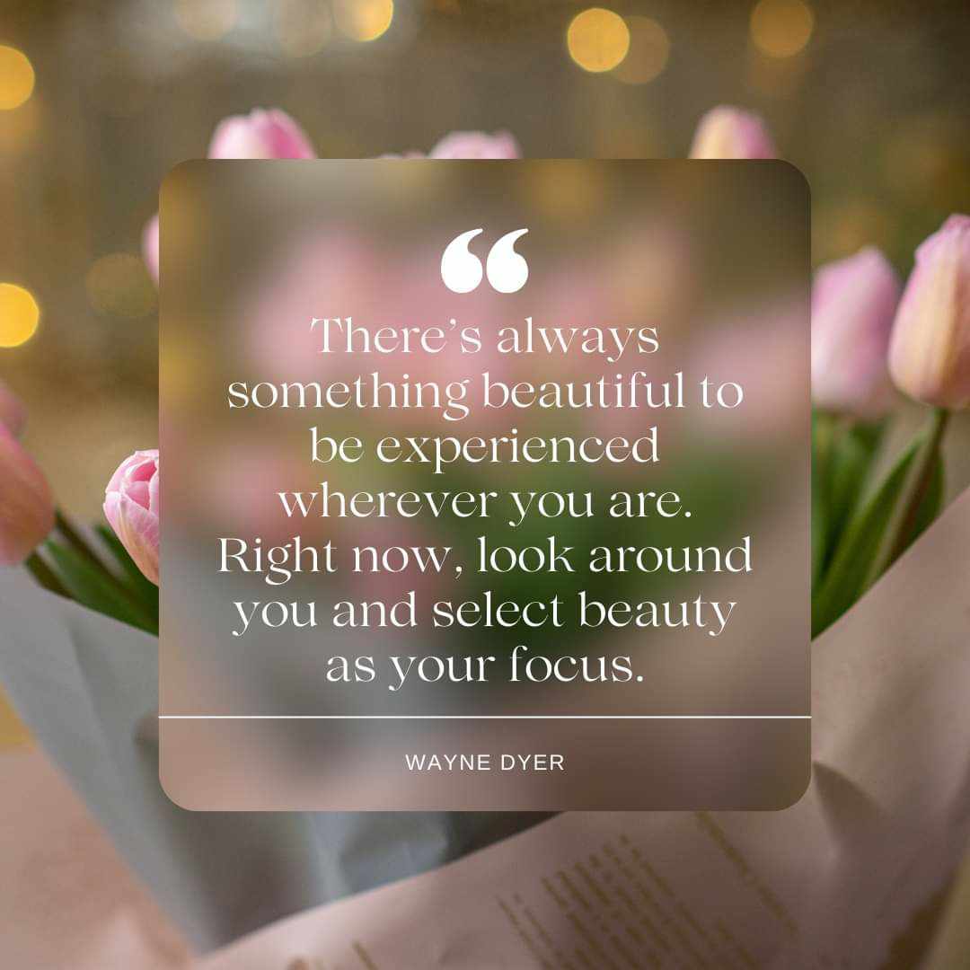 shriyanaren7's tweet photo. Affirm: There’s always something beautiful to be experienced wherever you are. Right now, look around you and select beauty as your focus.
#Wayne_Dyer 🌸 https://t.co/GufW4hIKyb