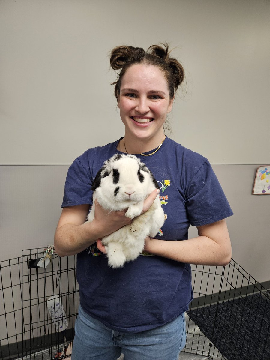 Deborah Schnitzer tweet media