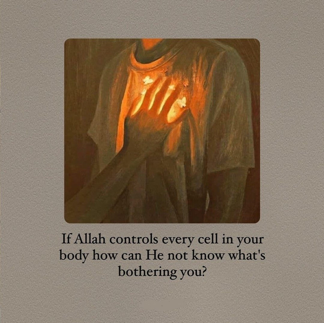 islamicfreedom's tweet photo. Allah knows best. https://t.co/iurkfihs3l