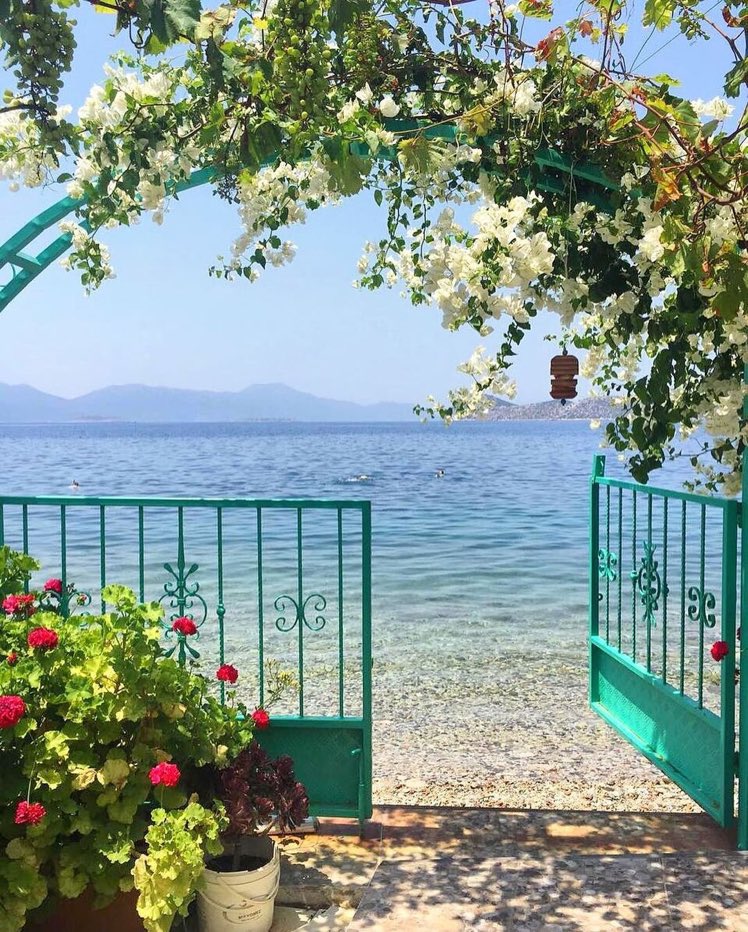 Hayat artık böyle hissettirsin