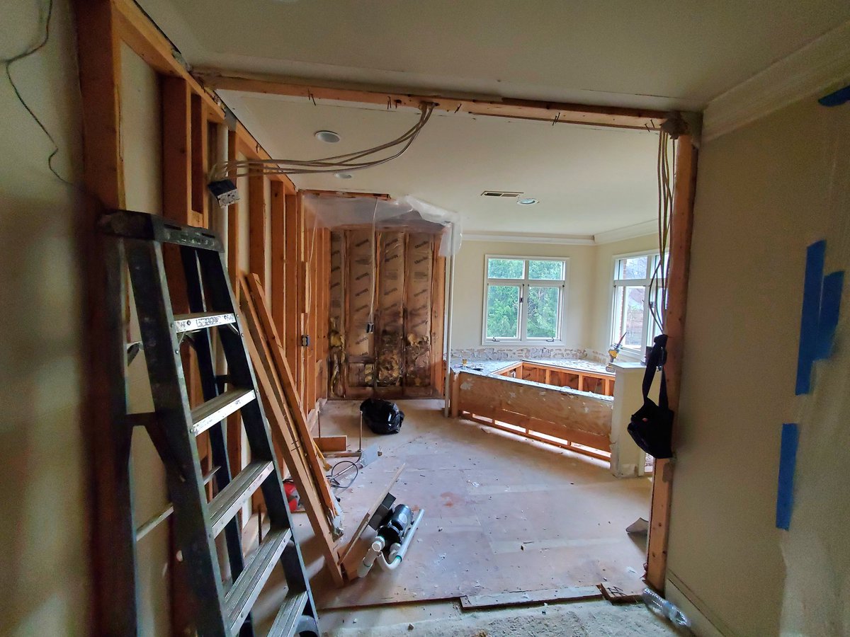 One of the best things about a home renovation is you get to watch the progress on a daily (often hourly) basis. Skilled tradesmen are artists at work.