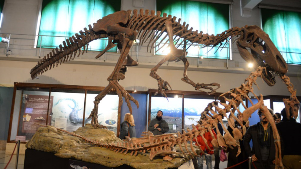 Asociación Paleontológica Argentina tweet media