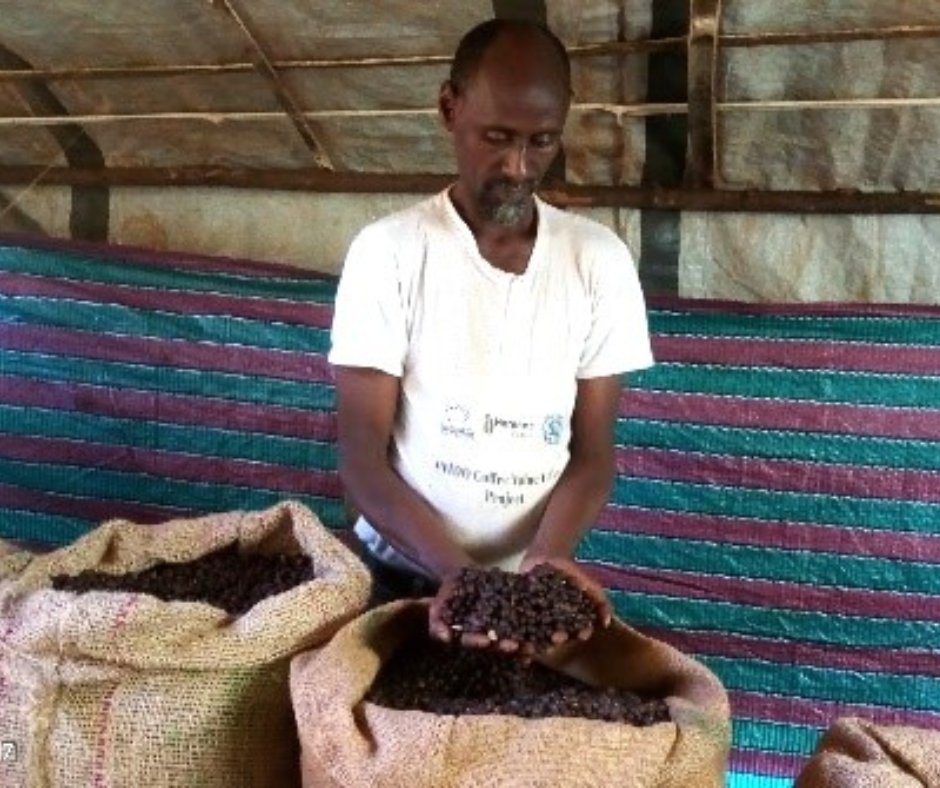 ‘No matter how much coffee cherry I collected, I wasn’t benefitting because the quality was low. Now my coffee is never out of grade 1 or 2. Never.’ --Tahir, Bale Zone, Ethiopia Making a good living from wild coffee gives farmers an economic incentive to protect forests. 🌳☕️