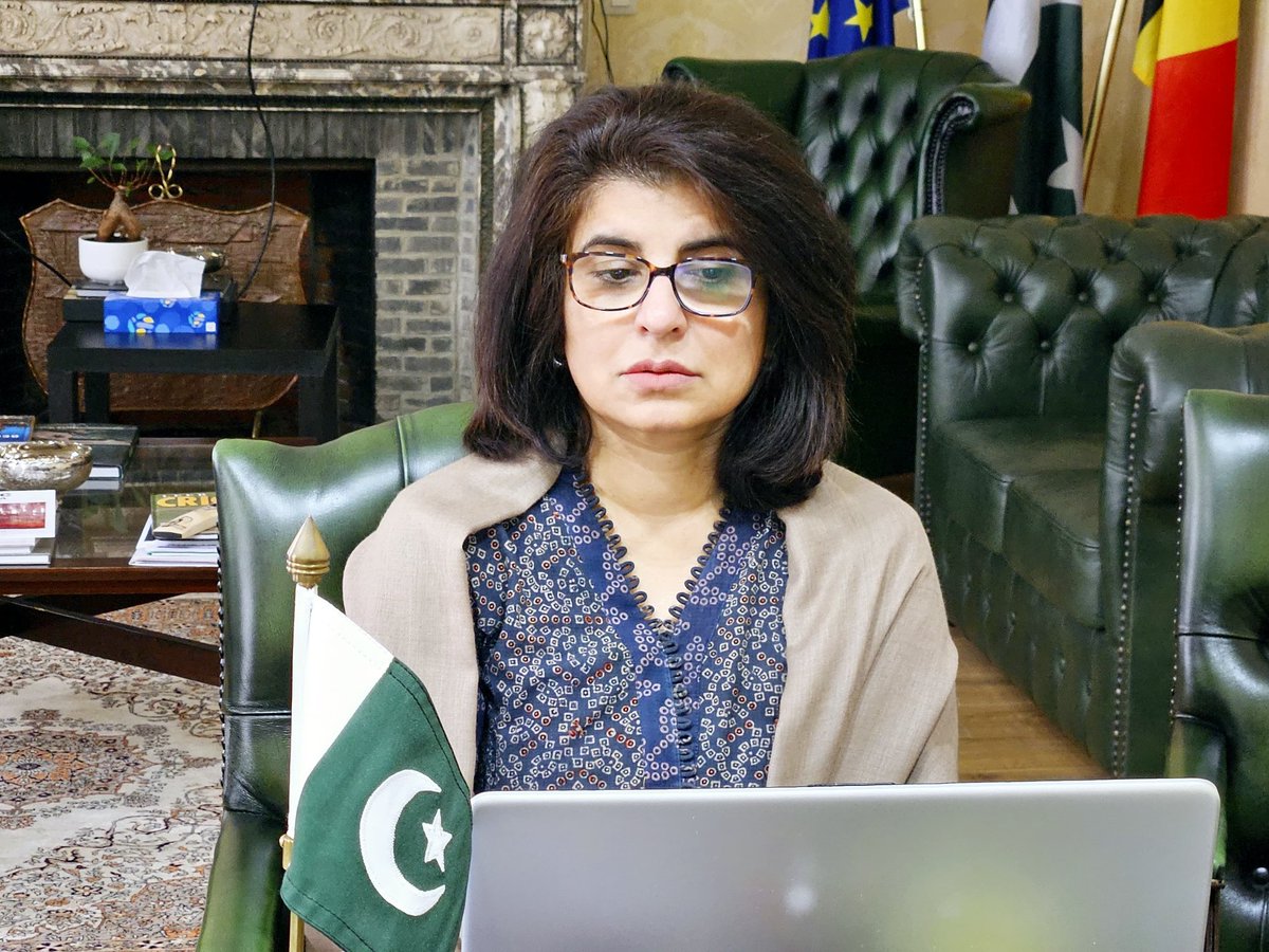 EmbassyPakBel's tweet photo. Embassy organised a webinar on “Opportunities in the textile sector of Pakistan” for 🇧🇪 and 🇱🇺 companies. 
📍Extensive briefing on the vibrant textile sector of Pakistan was appreciated by the participants
📍Introduced SIFC, SEZs , Sustainability and Compliance regime in🇵🇰 https://t.co/n6mCxaaAlY