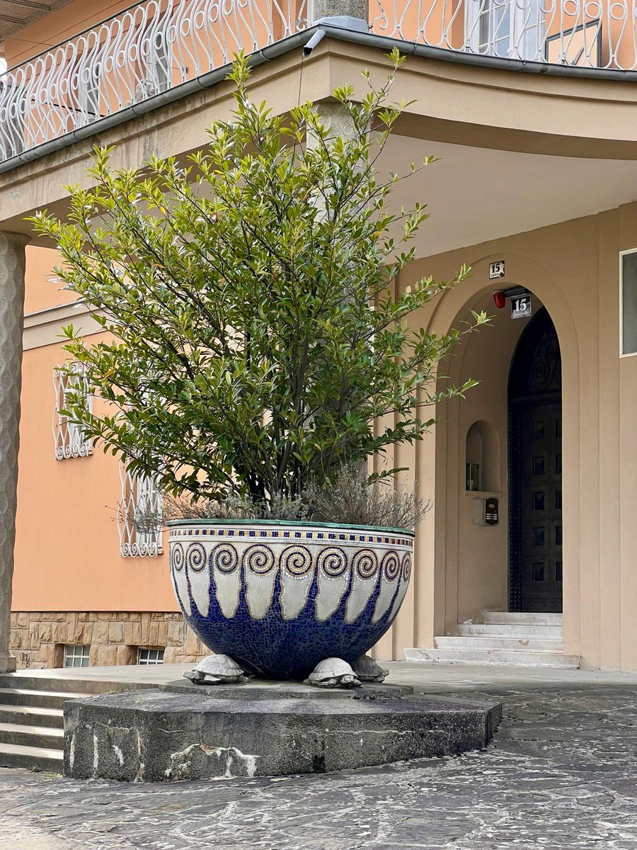 Viyana Anahtarı (Okşan Svastics) tweet media