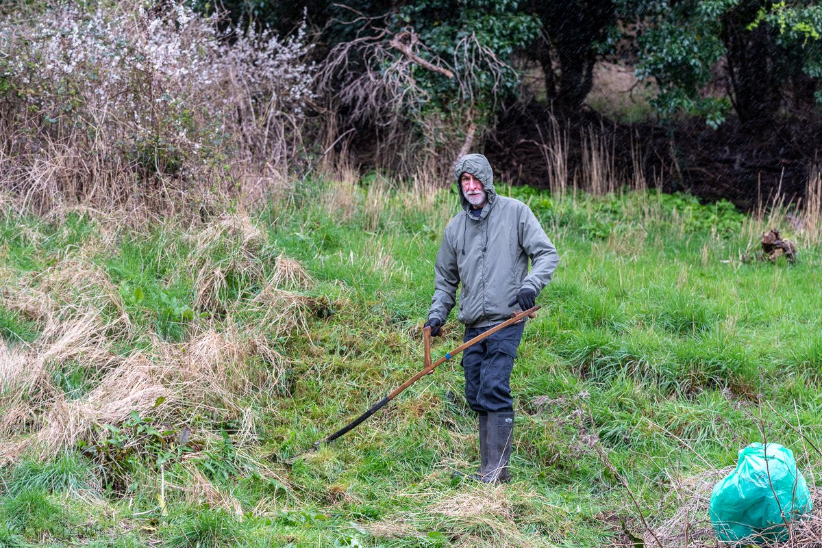 🎶We're scything in the rain Just scythin' in the rain What a glorious feeling We're happy again 🎶 Aren't #volunteers wonderful?