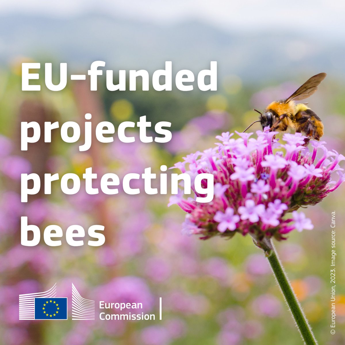 REA_research's tweet photo. Spring has sprung! 🌷

And what other way to celebrate it than with a homage to the Earth's pollinators? 🐝

Explore the world of bees through the lens of EU-funded projects and learn what they are doing to protect our buzzing friends: https://t.co/3hKd7jZ9IQ https://t.co/T0g0qD6b1G