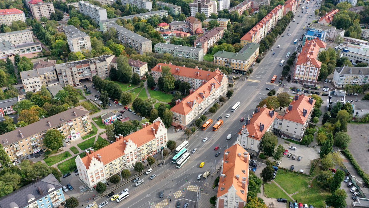 🌳Good afternoon from Kaliningrad! 📷klgd.ru