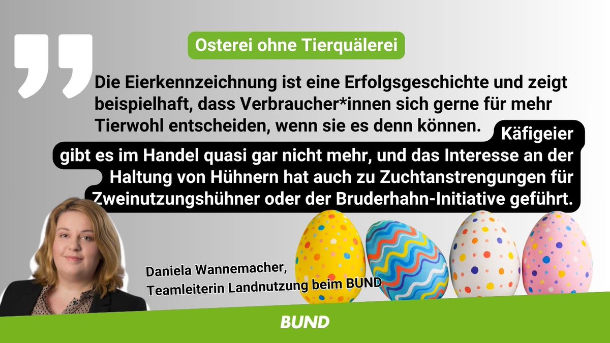 Osterzeit ist Eierzeit 🥚: Dank Kennzeichnungspflicht u. privatwirtschaftl. Initiativen wie für das #Zweinutzungshuhn können Verbraucher*innen sich für #Ostereier aus tierfreundlicherer Haltung entscheiden. Und #vegan|e Alternativen gibt's auch! bund.net/service/presse…
