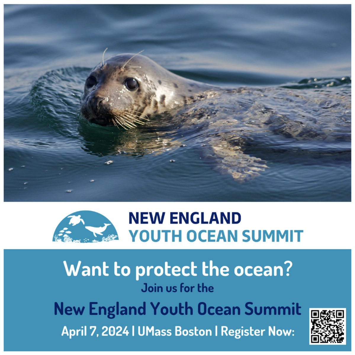 Passionate about protecting marine environments? Attend the New England Youth Ocean Summit! 🦭 Any students interested in either attending or helping to organize events should check out the link below! youthoceansummit.org