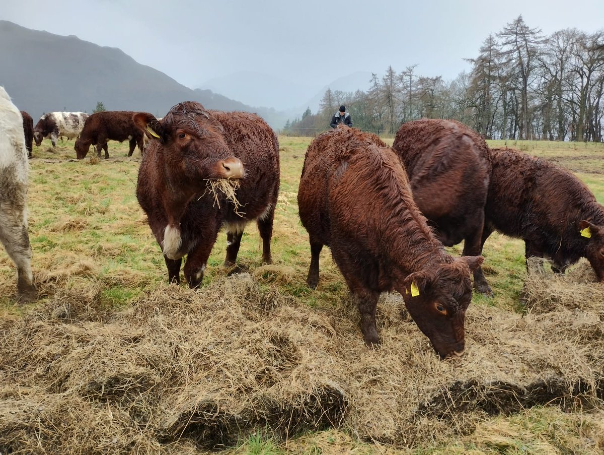 Innovative Farmers tweet media