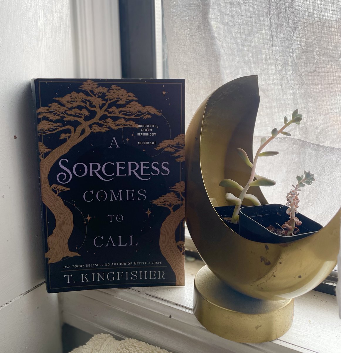 Get ready for a dark reimagining of the Brothers Grimm's "The Goose Girl" in <a href="/UrsulaV/">Kingfisher & Wombat</a>'s #ASorceressComesToCall, rife with secrets, murder, and forbidden magic. Add it to your shelves on 8/6! ✨

us.macmillan.com/books/97812502…