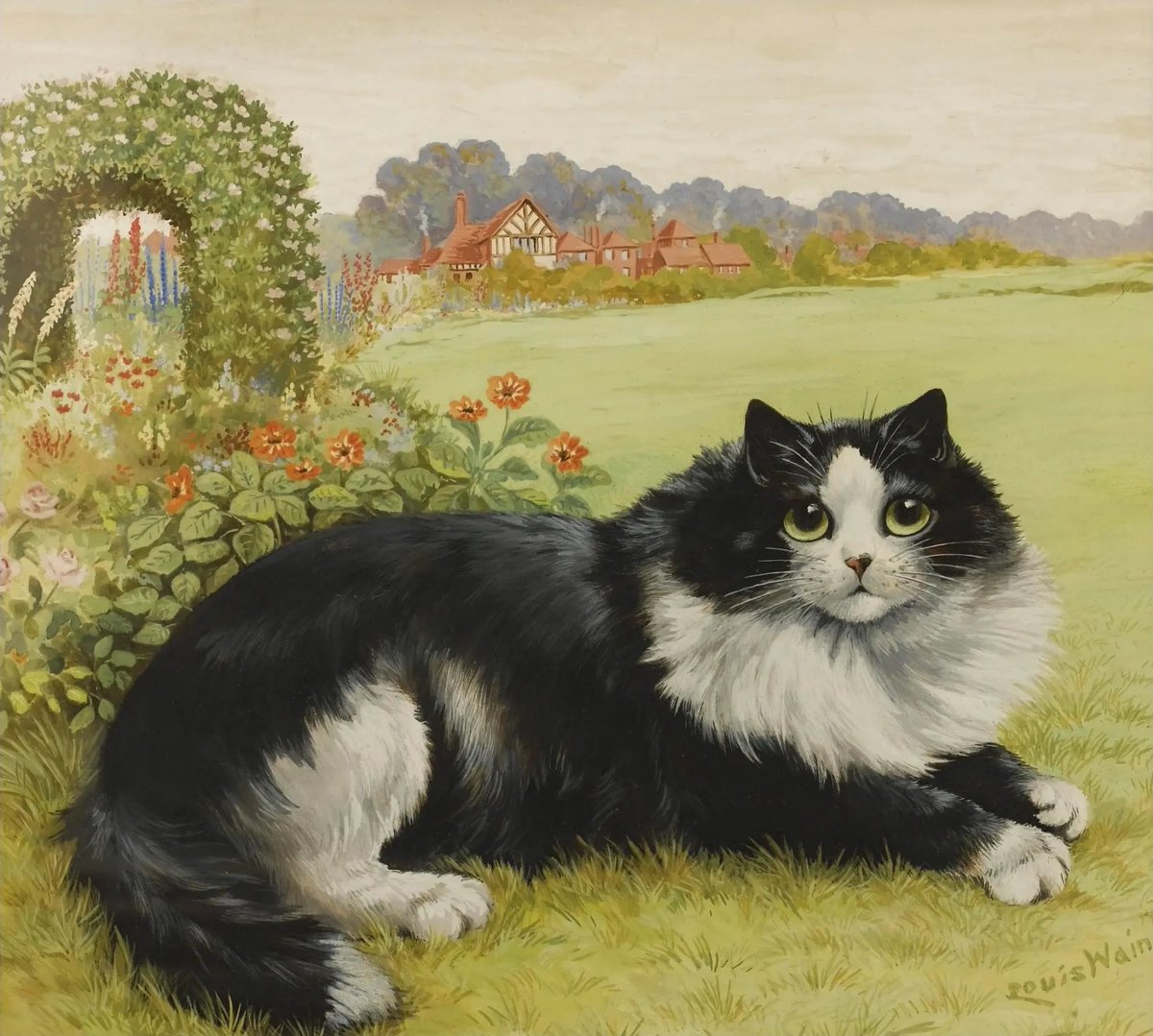 'Feline Beauty'