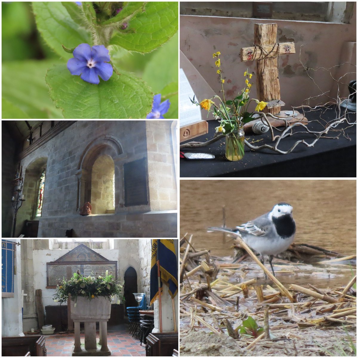 Really enjoyable stroll around Coton Nature reserve this morning and the village. So pleased to find St Peter's Church open with its Norman windows and 12th century font - all dressed beautifully for Easter. #achurchnearyou @CambridgePPF
