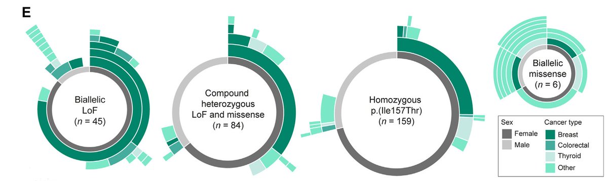 Genetics in Medicine (@gimjournal) on Twitter photo Biallelic CHEK2 variants and increased risk of multiple primary malignancies - What are the implications for risk management guidelines? bit.ly/3PDy3Og #cancerpredisposition #cancergenetics <a href="/RMdeVoer/">Richarda de Voer</a> Biallelic CHEK2 variants and increased risk of multiple primary malignancies - What are the implications for risk management guidelines? bit.ly/3PDy3Og #cancerpredisposition #cancergenetics <a href="/RMdeVoer/">Richarda de Voer</a>