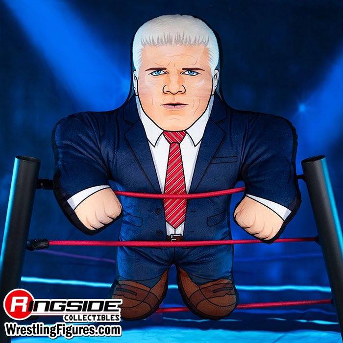 RingsideC tweet picture