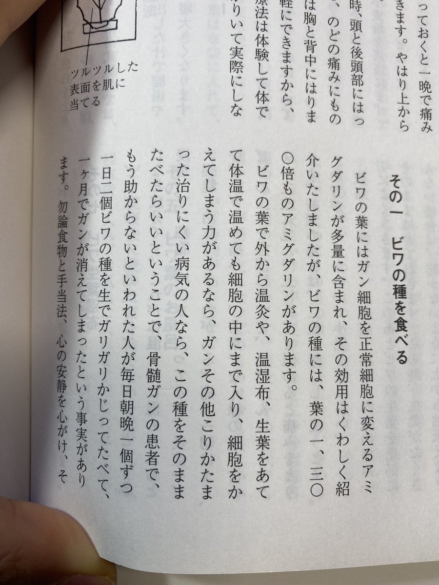 RoseVivienelove's tweet photo. これ真実です。
ビワの種に含まれるアミダグリンが
癌を治してしまいます。
医者が言ってました。

日本の西洋医学の前の、東洋医学書にも書いてますね。

安価で癌が治ると困るから
必死で隠したいのです。 https://t.co/WBjPnVf1dQ
