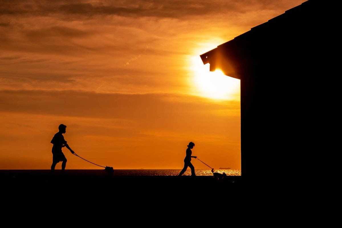 Cameraruno's tweet photo. #画像を4枚晒したらrtがきてフォロワーがぶわーって増えると聞いて 

夕焼け・朝焼けを撮るのが好きです！
フォローしていただけると嬉しいです💫

#FUJIFILM #XT3
#CANON #EOSm3
#Sunset #Sunrise
#写真好きな人と繋がりたい https://t.co/0adfVp7Ndq