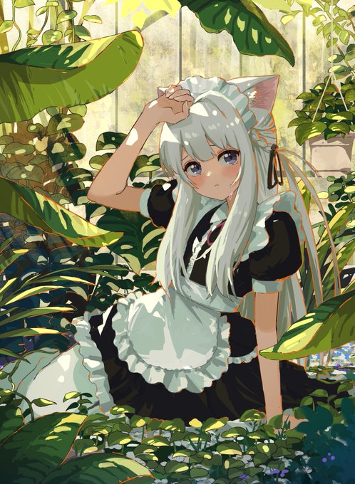 日差しヌコ 