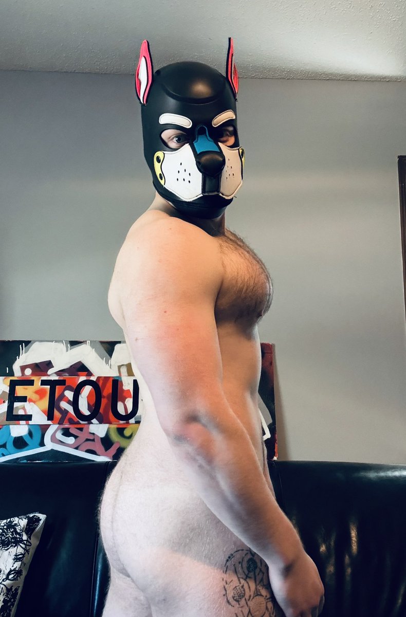 #humpday? Hump day 😏