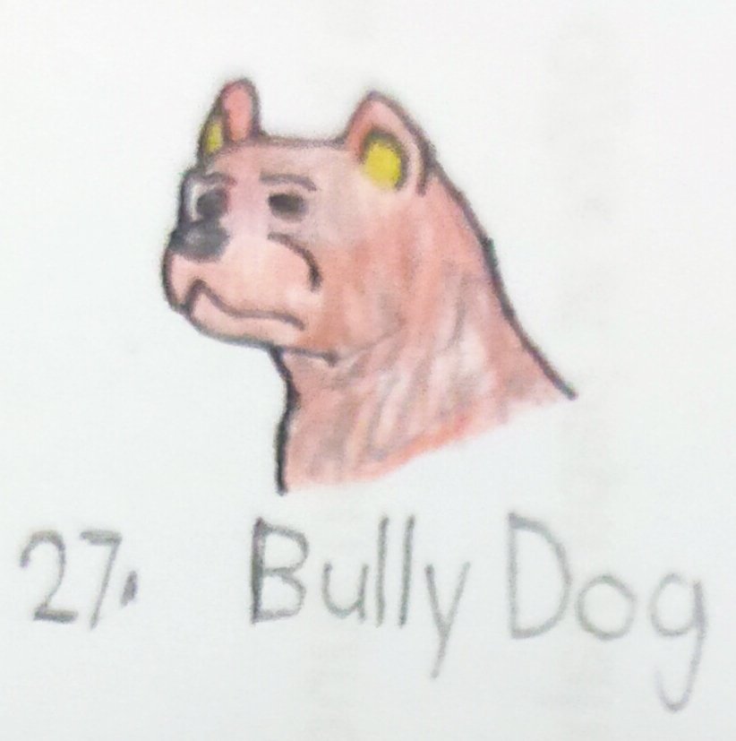 torm28's tweet photo. Day 27. bully dog
a dog breed of a Bulldog on Steroids.
#Bullydog #Marchofthemammals2024 #Drawdog #Mammals #Art #drawing #Draw #Drawanimals https://t.co/y4NxTQ2fe2