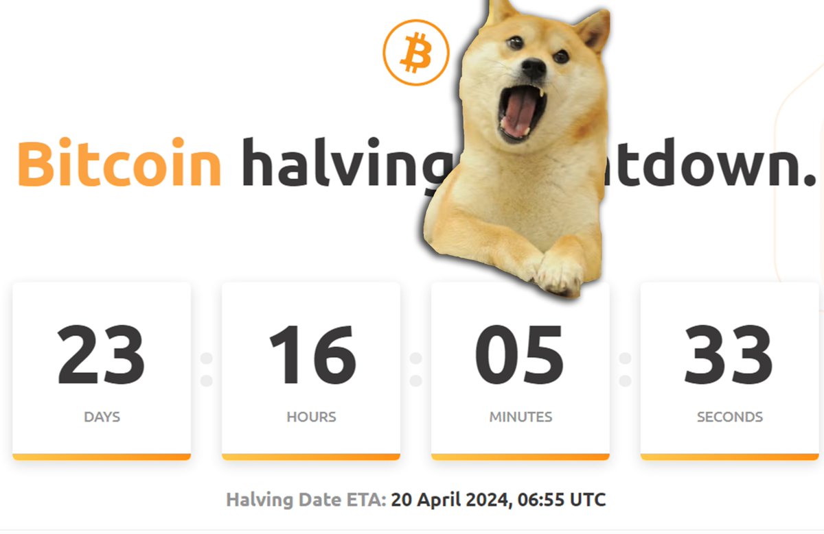 RepeatAfterVee's tweet image. 🚨 If they repeat the success of the previous cycle, the price of Dogecoin would reach $53.1, and Bitcoin $504,700.

The last Bitcoin halving was on May 11, 2020 at a price of ~ $8,400.
Since then, the price has steadily increased and reached ~ $69,000 in the following year. An…