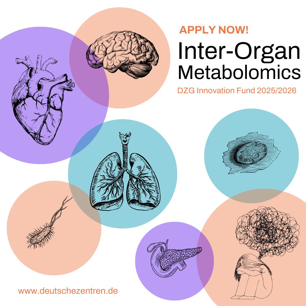 DZG_Forschen's tweet photo. Apply now for the #DZG Innovation Fund 2025/2026 on "Inter-Organ Metabolomics" if you are a member of one of the #DZG.👉🏽Send an expression of interest by May 15, 2024. Call and templates: https://t.co/7VHpcvzamJ
#ResearchforHealth https://t.co/ACIIdD5USq