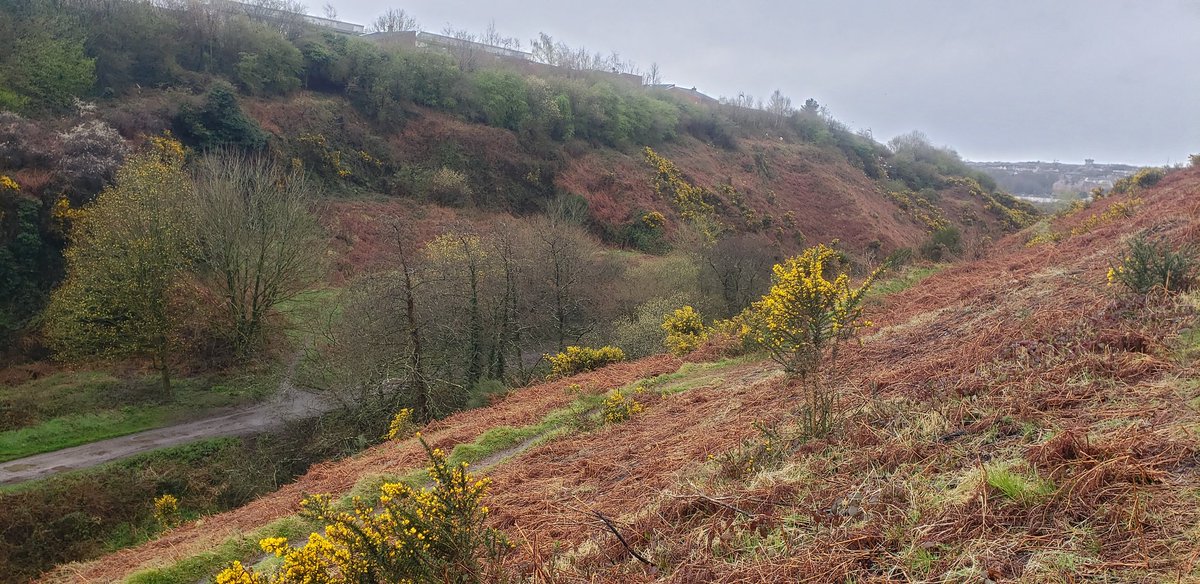 Stephen Hutton tweet media