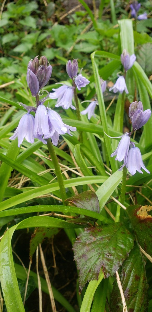 Stephen Hutton tweet media